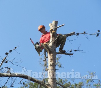 Síndrome del arnés, el gran desconocido de los trabajos de altura